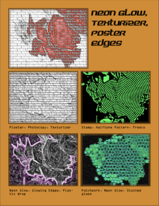 Rose Filters Example